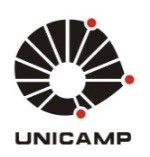 Unicamp